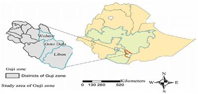 Effect of a school-linked life skills intervention on adolescents' sexual and reproductive health skills in Guji zone, Ethiopia (CRT)—A generalized linear model